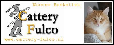 Cattery Fulco